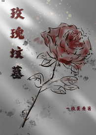 玫瑰闼小说