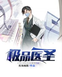 极品医圣完整版