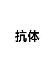 抗体能够直接注射小鼠体内发挥阻断作用